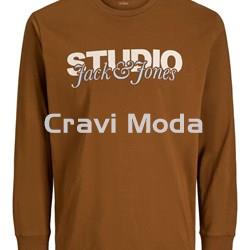 CAMISETA DE MANGA LARGA MARRON - Imagen 1