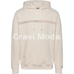 SUDADERA CON CAPUCHA ARENA - Imagen 1