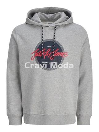 SUDADERA CON CAPUCHA GRIS - Imagen 1