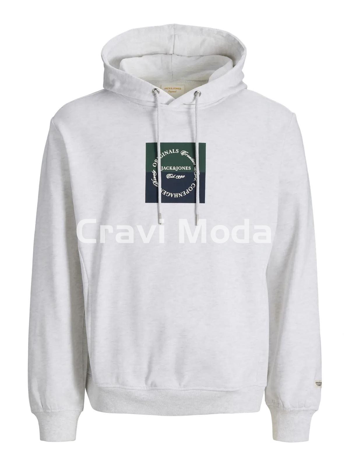 SUDADERA CON CAPUCHA GRIS - Imagen 1