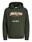 SUDADERA CON CAPUCHA VERDE - Imagen 1