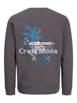 SUDADERA SIN CAPUCHA GRIS CON DIBUJO EN LA ESPALDA - Imagen 2